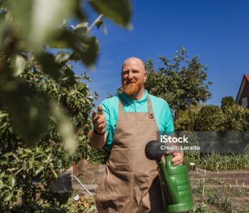 Handsome adult senior male small business owner working on the daily duties on a commercial community allotment vegetable garden